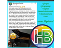 staatsexamens bij hbplus