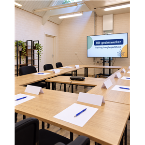 training hoogbegaafdheid tot hb gezinswerker