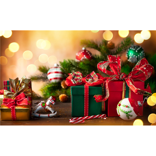 het mooiste cadeautje voor onder de kerstboom onze opleiding tot hb professional