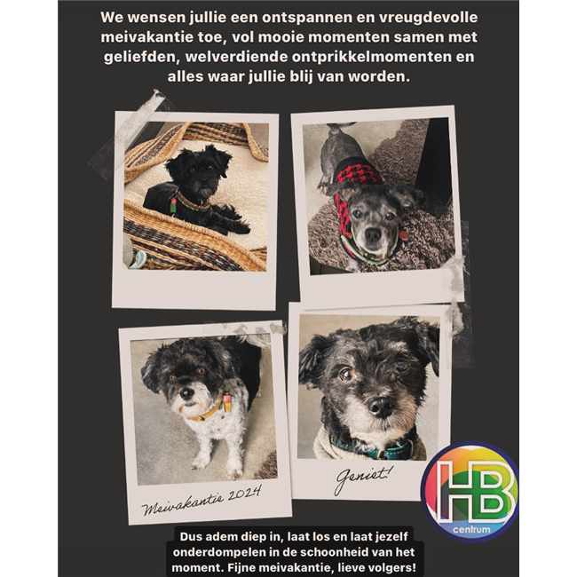 aan al onze geweldige volgers we wensen jullie een ontspannen en vreugdevolle meivakantie toe